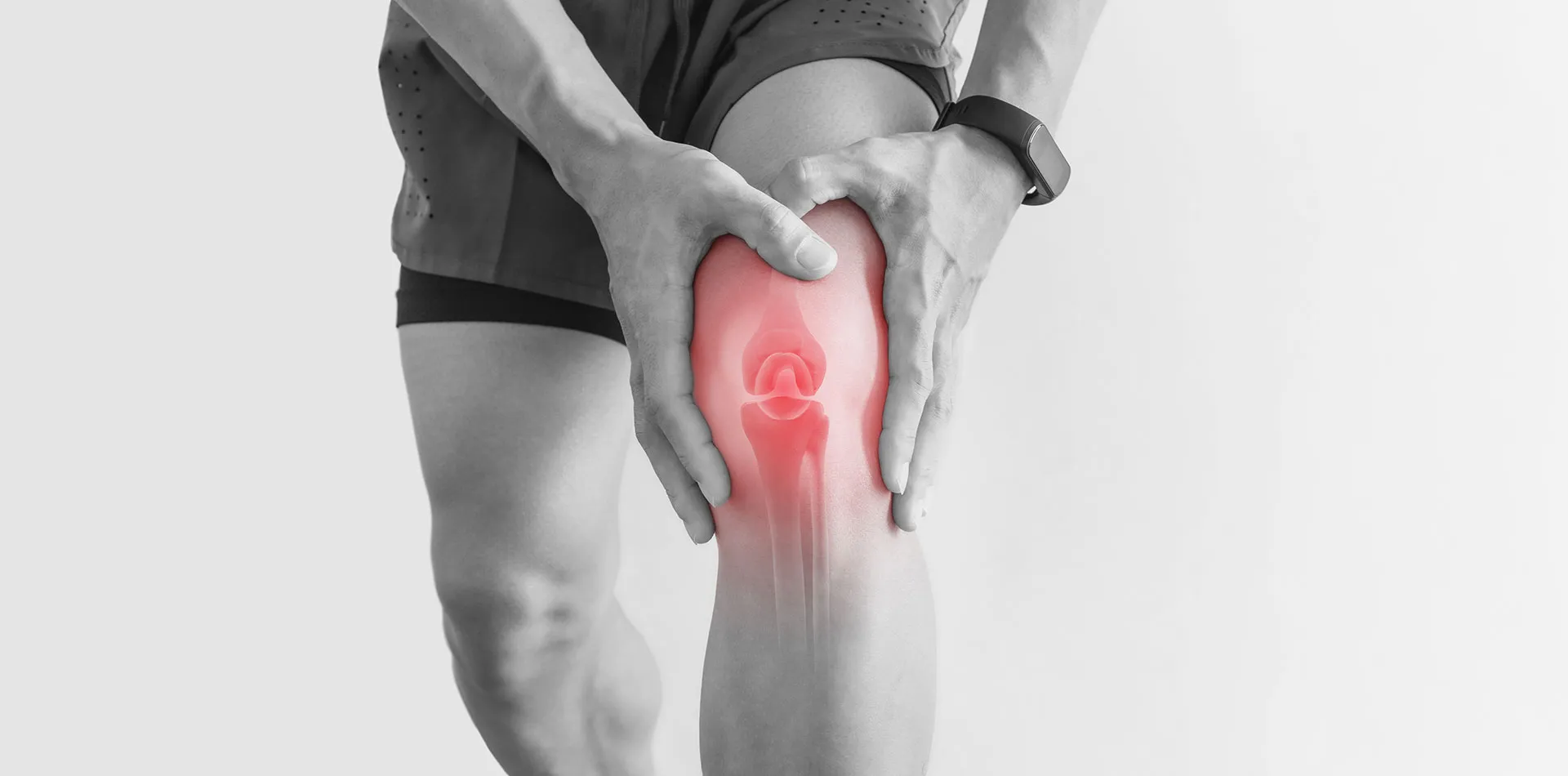 1629033105knee
